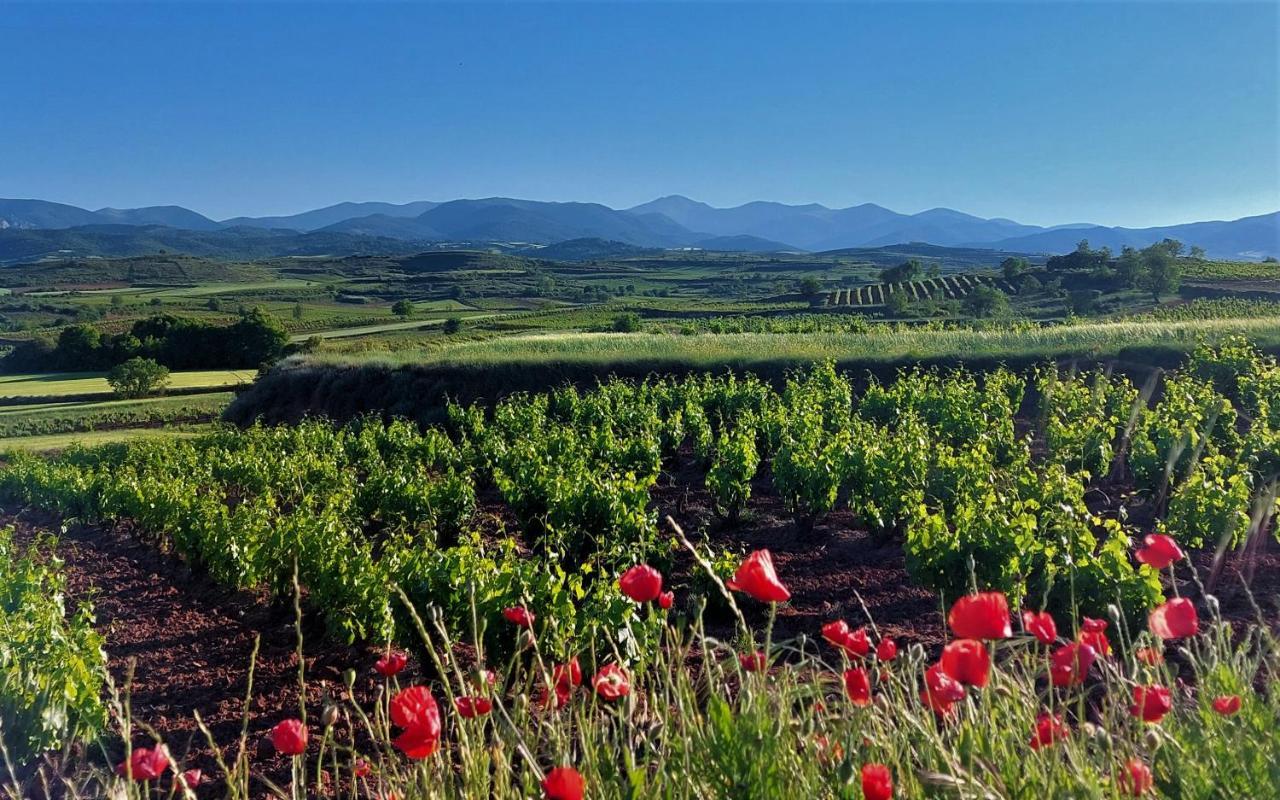 Sojuela Turismo Golf Naturaleza Y Vino Exterior foto
